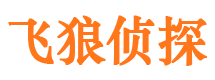 凤台寻人公司